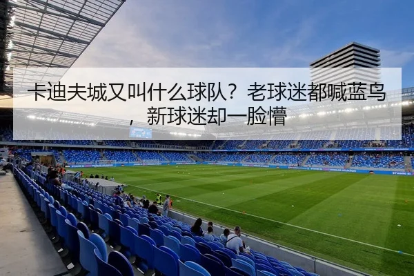 卡迪夫城又叫什么球队？老球迷都喊蓝鸟，新球迷却一脸懵